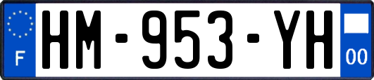 HM-953-YH