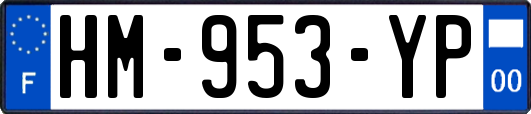 HM-953-YP