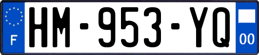 HM-953-YQ