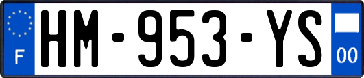 HM-953-YS
