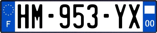 HM-953-YX