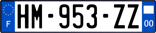 HM-953-ZZ