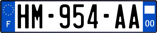 HM-954-AA