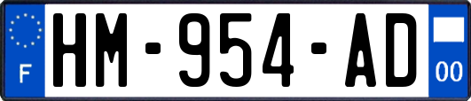 HM-954-AD