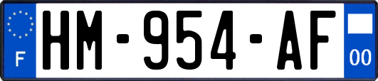 HM-954-AF