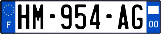 HM-954-AG