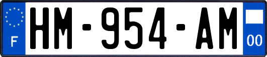 HM-954-AM