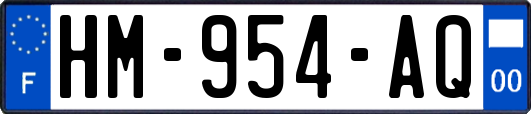 HM-954-AQ