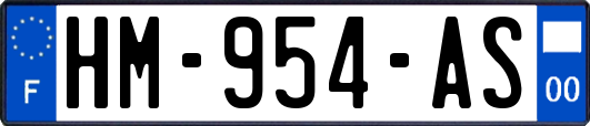 HM-954-AS