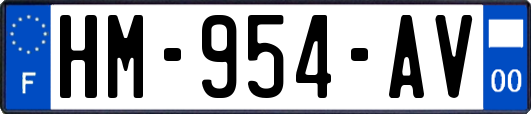 HM-954-AV