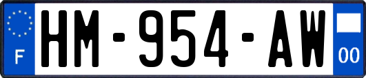 HM-954-AW