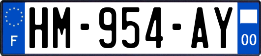 HM-954-AY