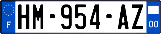 HM-954-AZ