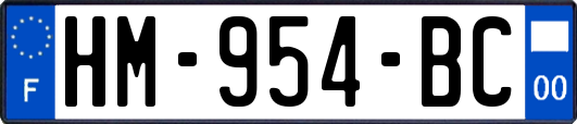 HM-954-BC