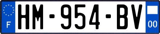 HM-954-BV
