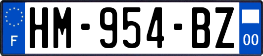 HM-954-BZ