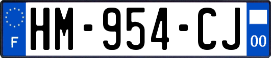 HM-954-CJ