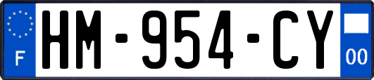 HM-954-CY