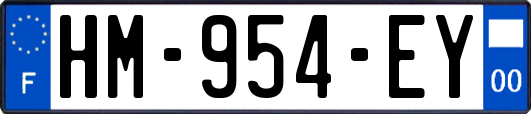 HM-954-EY