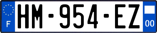 HM-954-EZ