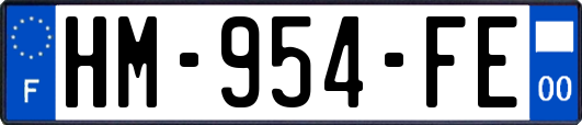HM-954-FE