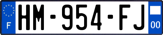 HM-954-FJ