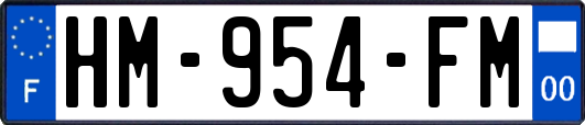 HM-954-FM