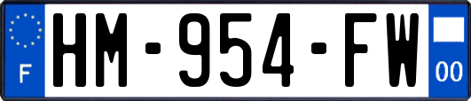 HM-954-FW