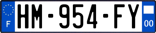 HM-954-FY