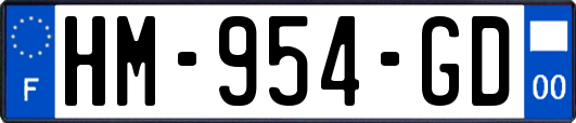 HM-954-GD