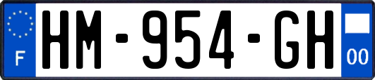 HM-954-GH