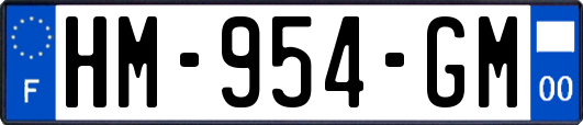 HM-954-GM