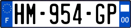 HM-954-GP