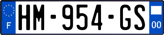 HM-954-GS