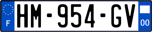 HM-954-GV