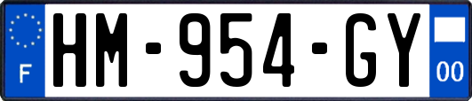 HM-954-GY