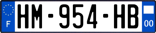 HM-954-HB