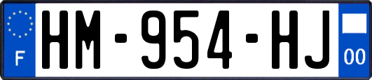 HM-954-HJ