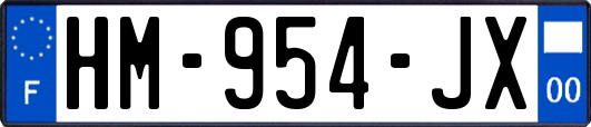 HM-954-JX