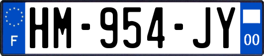 HM-954-JY