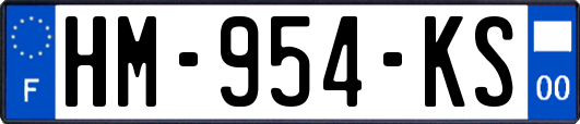 HM-954-KS