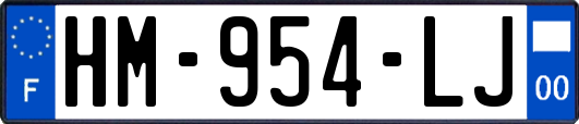 HM-954-LJ