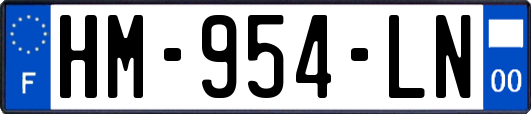 HM-954-LN