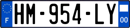 HM-954-LY