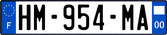 HM-954-MA