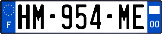 HM-954-ME