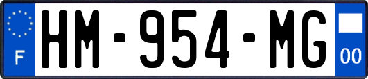 HM-954-MG