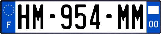 HM-954-MM