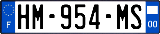 HM-954-MS