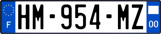 HM-954-MZ